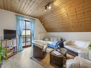 Alluring Apartment in Schönsee in the forest - Schönsee - 9