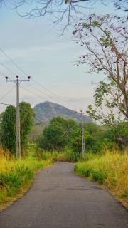 Farming Tree House - Sigiriya - 8