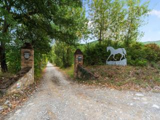 Holiday Home in Ficulle with Pool Access - Ficulle - 3
