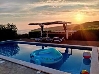 LUXURY VILLA ŠENTADA - 9