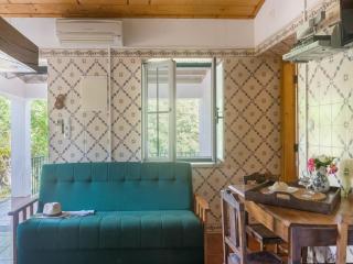 Wine Country Home in Alentejo - 7