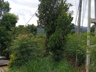 Great escape ella - Ella - 6