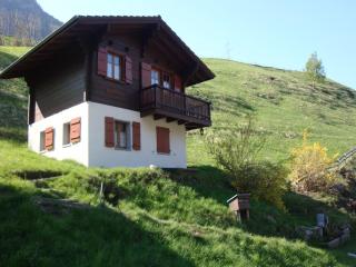 Chalet in Bister near Aletsch Arena - Betten - 5
