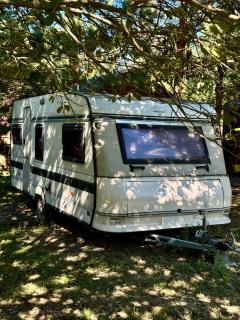 Arion Camp - будиночки в кінному клубі - Bobritsa - 0
