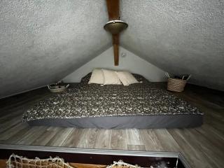 Unterkünfte bei Wake and Beach am Halbendorfer See - Schleife - 1