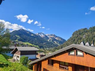 Le Bon' Appart studio proche centre Châtel - 9
