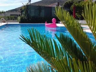 Apartments Zulim - 1