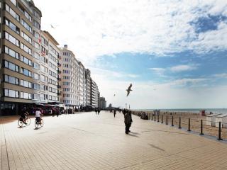 Seaside Comfort at Blutsyde - Bredene - 1