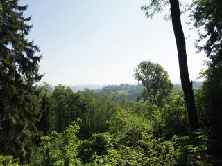 Guest House in Monferrato with Wine Tasting - Rocca Grimalda - 3