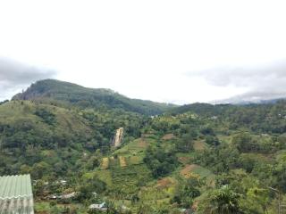 Royal homestay at Misty Mountain - Ella - 7