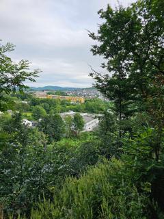 NEU Ganze Wohnung Boxspringbett & Gartenzugang - Betzdorf - 8