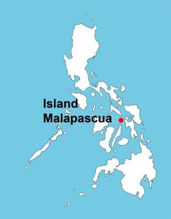 Malapasqua Island Cottage Holiday House - Daanbantayan - 9