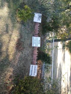 Yaldram Resort - Islamabad - 1