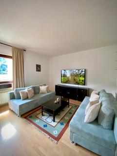Apartment Hadi - Sarajevo - 0