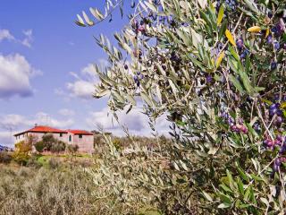 Farmhouse abode with Pool and Tuscan Charm - 4