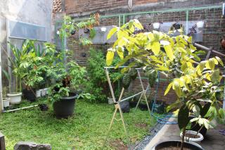 Omah Adem Homestay - Ngabean - 9