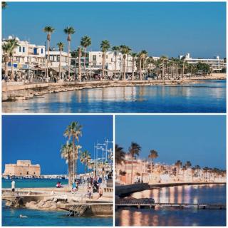 Ev Zin - Modern, cozy, 1 bed, pool, 2 balconies, A105 - Kato Paphos - 9