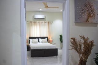 Modern and Luxe Apartment - Kwabenya - 9