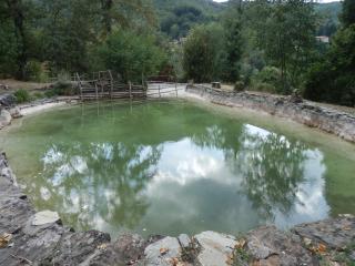 Farmhouse with pool,Ortignano - Castel Focognano - 1