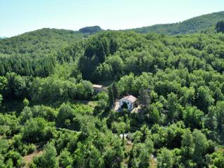 Farmhouse with pool,Ortignano - Castel Focognano - 4