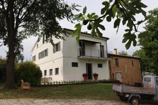 Sogno delle Api Lavanda - Belvedere Ostrense - 2