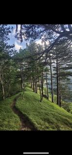 Domacinstvo Paprica Tjentiste - 6