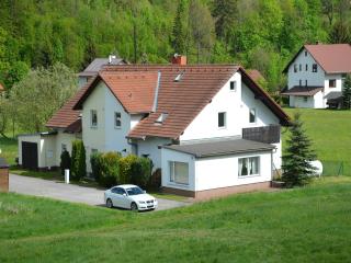 Apartment in Bohemian near Ski Slopes - Dolní Lánov - 1