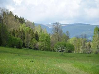 Retreat with Garden Views - 3