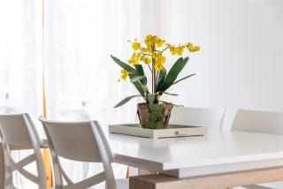 IseoLakeRental - Casa Le Betulle - 4