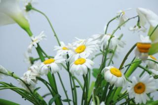 ABR Ahangama Beach Resort - Ahangama - 4