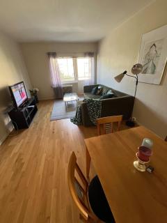 Bright and inviting apartment - Drammen - 6