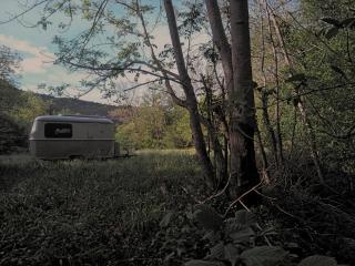 CAMPING Pleine Nature - 7