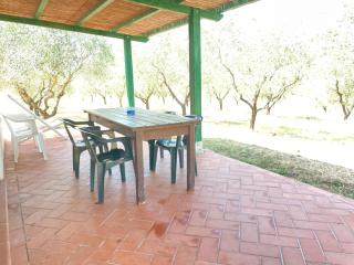 Podere San Pietro - 7