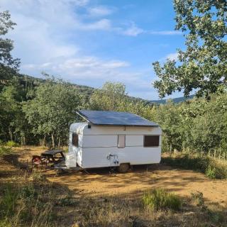 CAMPING Pleine Nature - 1