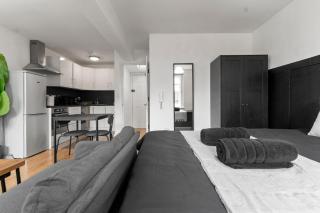 Spacious Central Studio - 25 - Leicester - 7