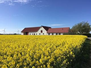 Cozy guest house with outdoor hot tub - 7