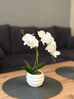 Perfect rest - 6