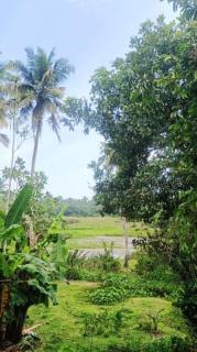 Buddika villa - Midigama-Est - 5