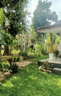 Buddika villa - Midigama-Est - 4