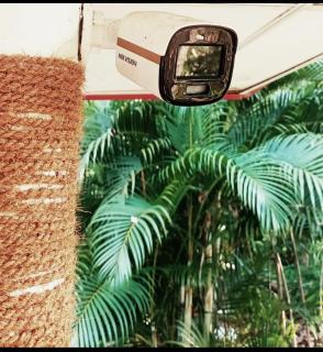 Buddika villa - Midigama-Est - 3