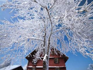 Nature Escape in Kander Valley - 9