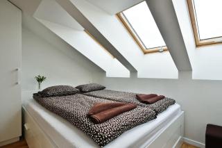Domillion 3bdr Rooftop Terrace AC P369 - Vilnius - 1