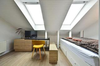 Domillion 2bdr 2bath on Vokieciu w parking V1020A - Vilnius - 9