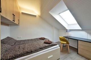 Domillion 2bdr 2bath on Vokieciu w parking V1020A - Vilnius - 5