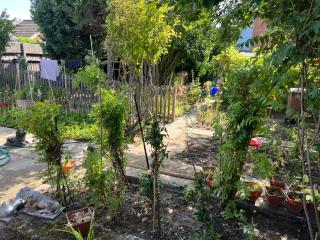 Seaside resort - Felixstowe - 6
