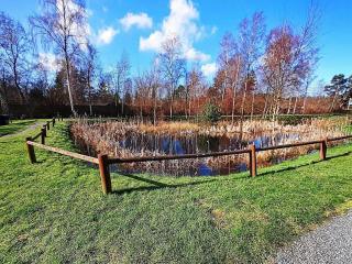 Luxury Retreat in Rorvig Park-By Traum - 6