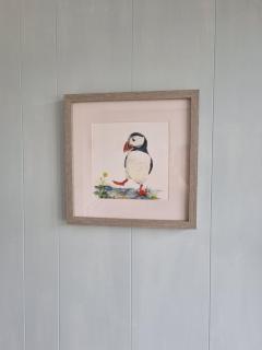 Giddy Puffin - 1