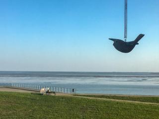 215 Horizonte & Harmonie - 0