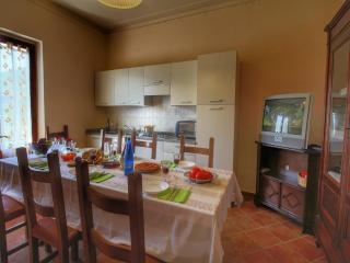 Serenity farmhouse in Castiglion Fiorentino - Castiglion Fiorentino - 8