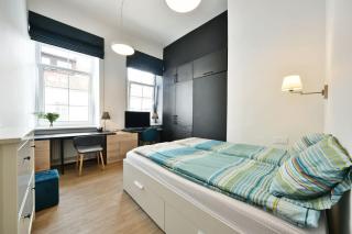 Domillion Duplex Apt 11 ppl 4baths Vokieciu V10C - Vilnius - 2
